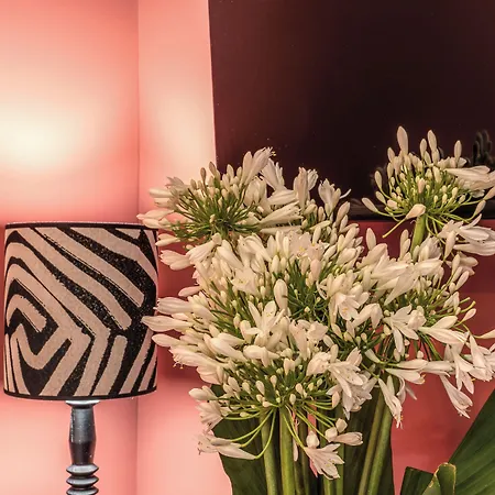 Telier Belsiana Konukevi